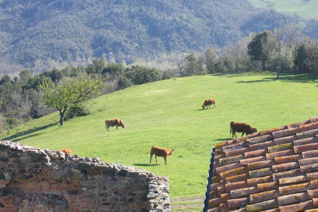 Farmhouse Tuscany Montecastelli Pisano Экстерьер фото